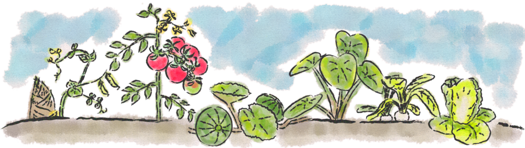 農家民泊わらびの畑